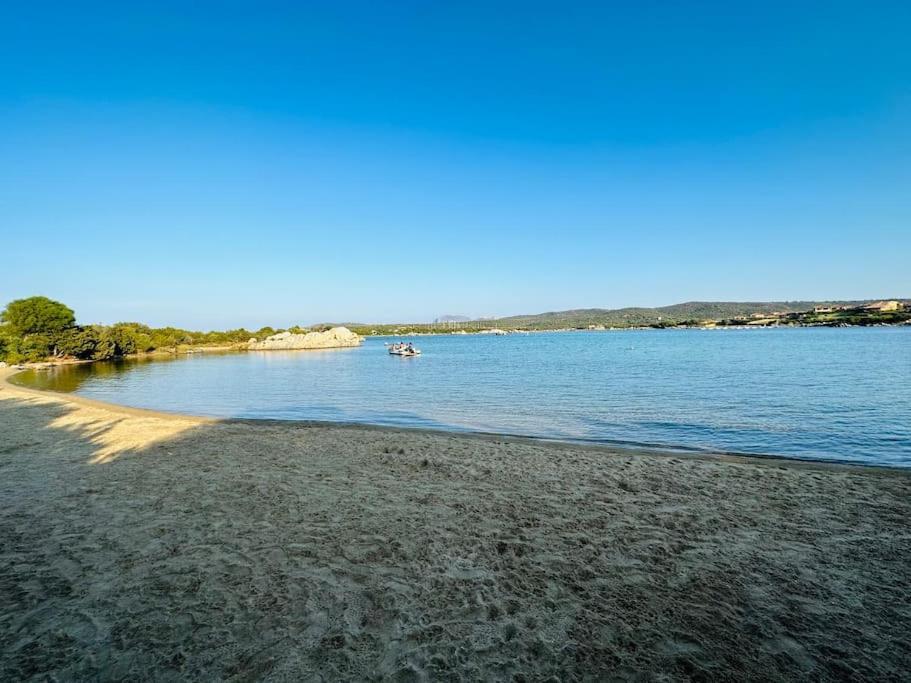 50m From 2 Private Beaches Stunning Sea View Apartment *